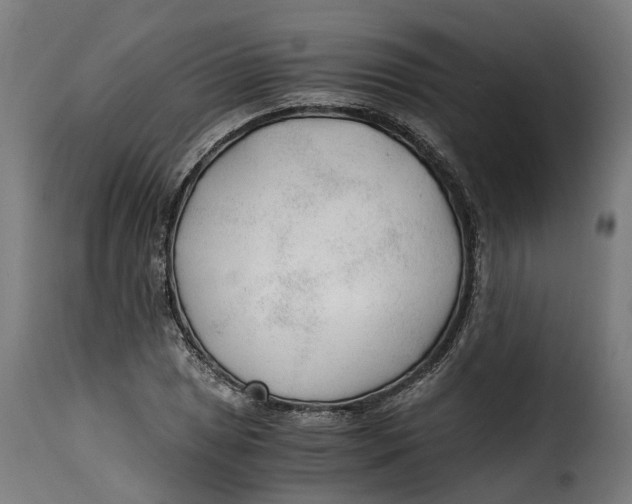 X0000115261025200911201700