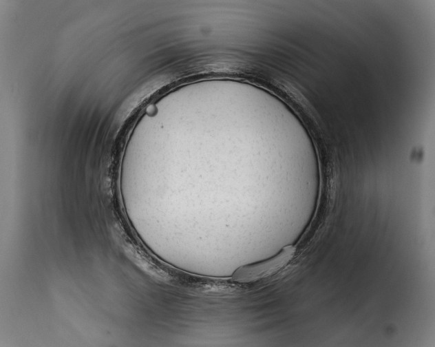 X0000115261026200911201700