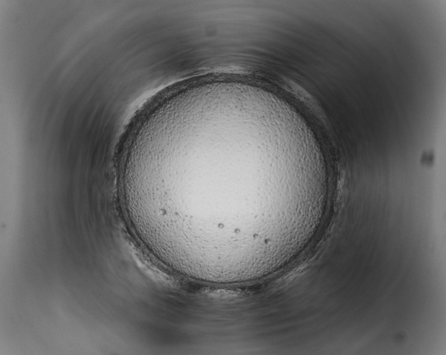 X0000115261027200911201700