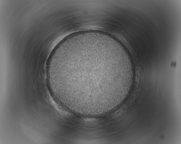 X0000115261031200911201701