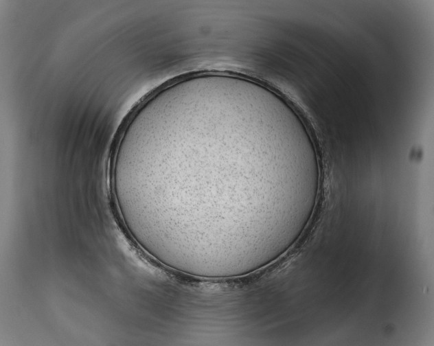 X0000115261032200911201701