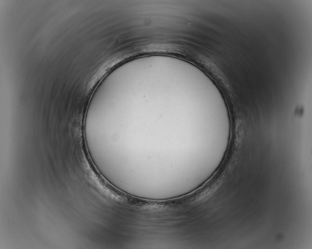 X0000115261033200911201701