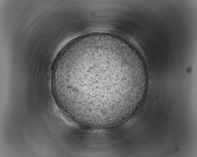 X0000115261035200911201701