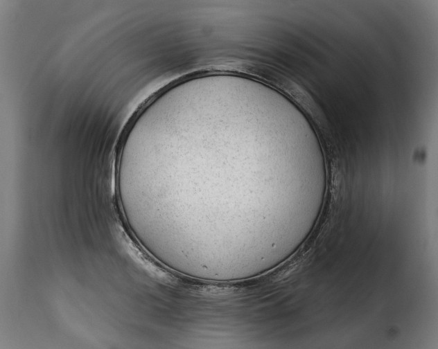 X0000115261036200911201701