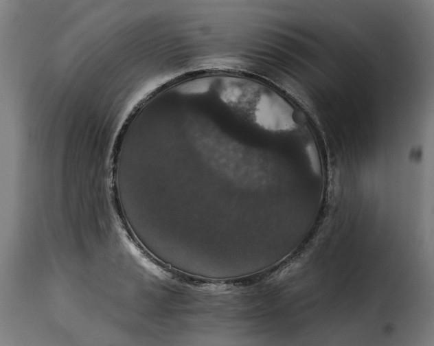 X0000115261037200911201701