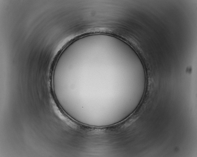 X0000115261038200911201701