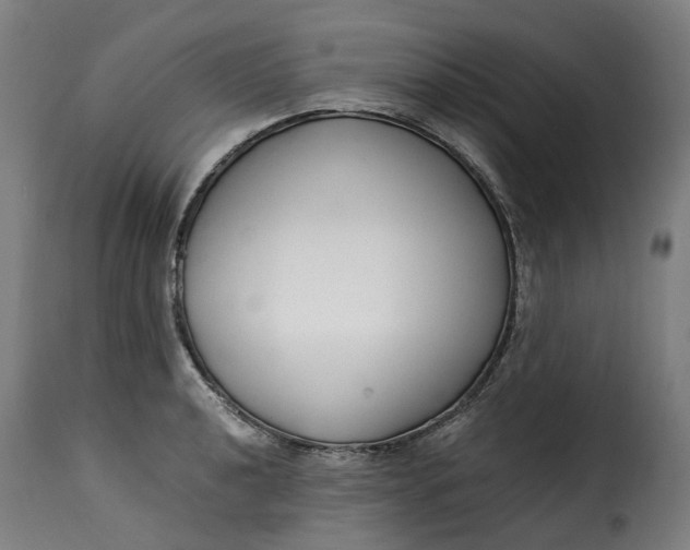 X0000115261040200911201701