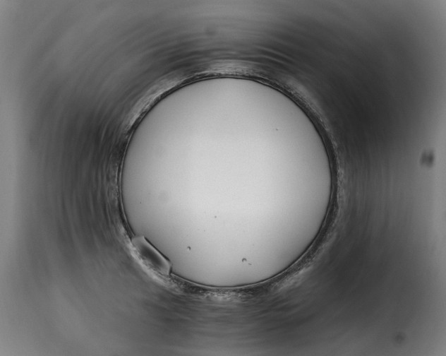 X0000115261041200911201701