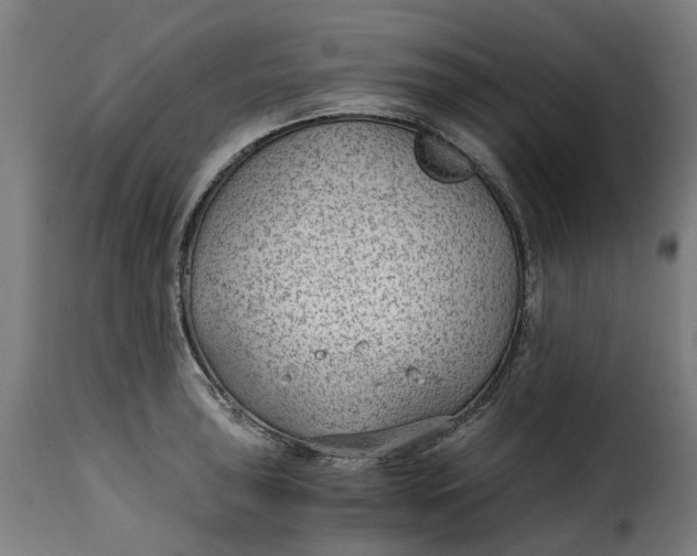 X0000115261043200911201701