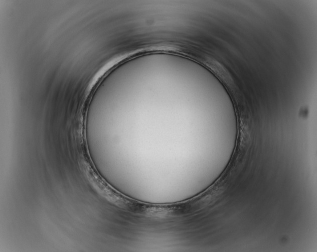 X0000115261044200911201701