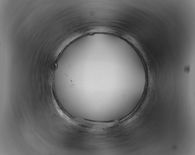 X0000115261049200911201701