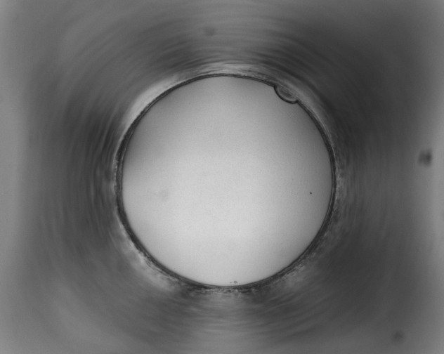 X0000115261050200911201701