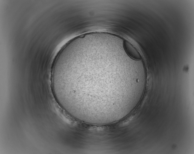 X0000115261051200911201701