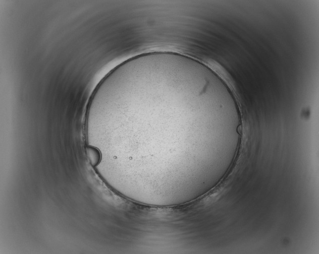 X0000115261052200911201701