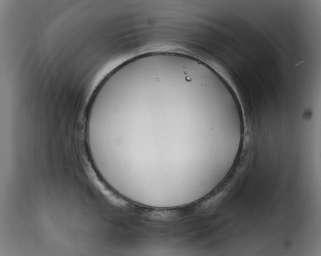 X0000115261053200911201701
