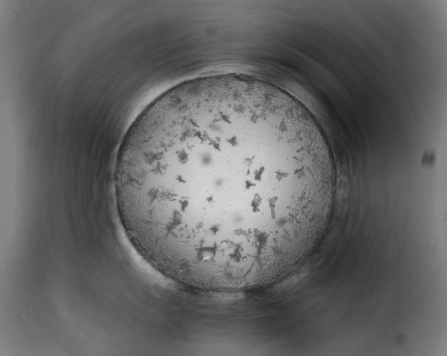 X0000115261055200911201701