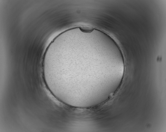 X0000115261056200911201701