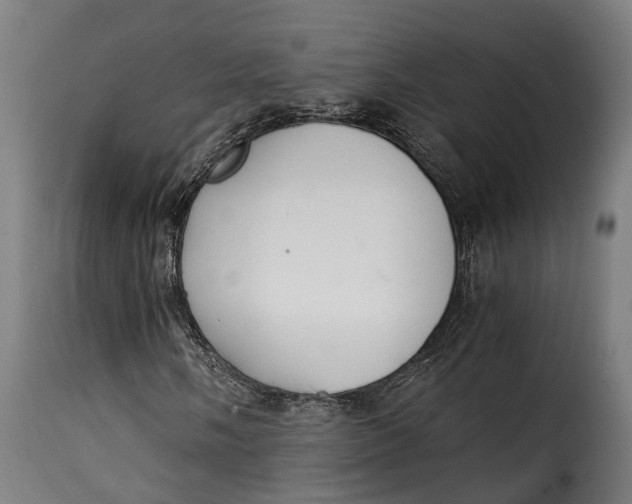 X0000115261058200911201700