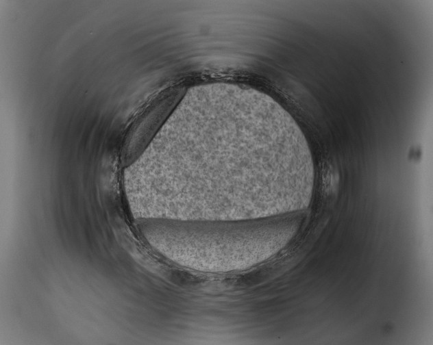 X0000115261060200911201700