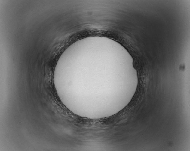 X0000115261061200911201700