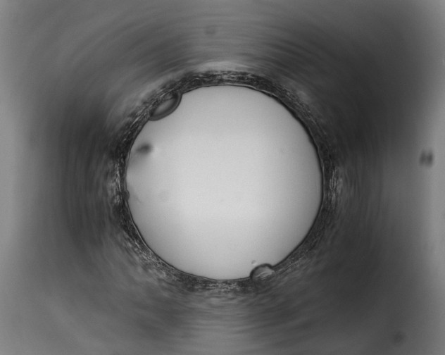 X0000115261062200911201700