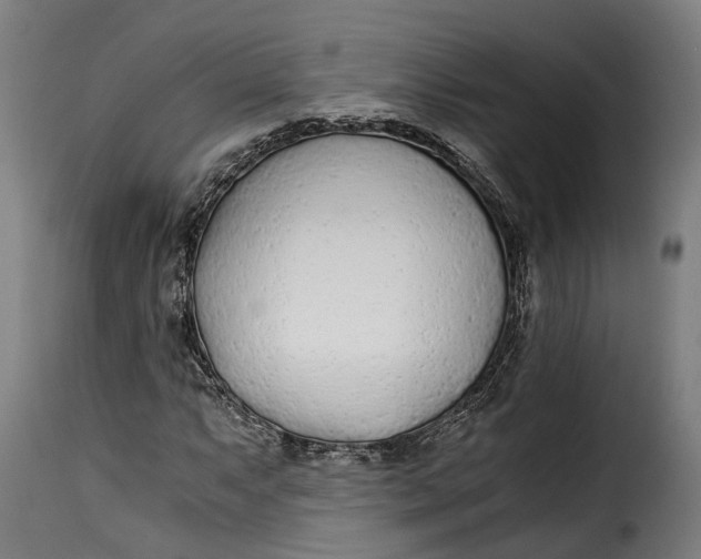 X0000115261063200911201700