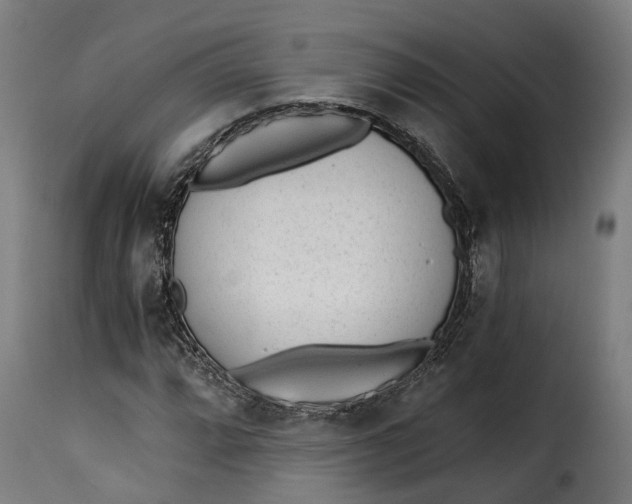 X0000115261064200911201700