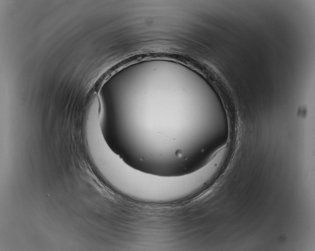 X0000115261065200911201700