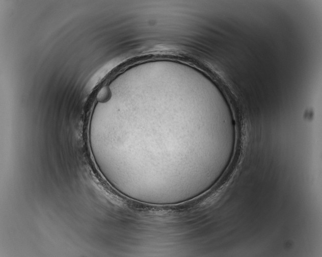 X0000115261066200911201700