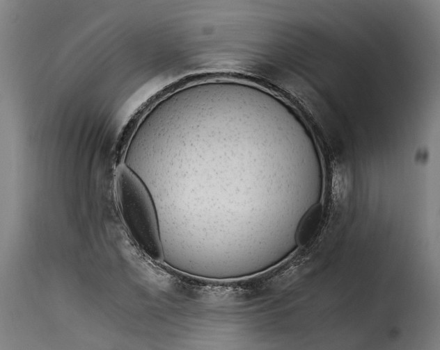 X0000115261069200911201700