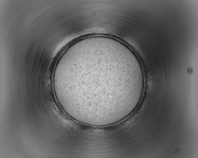 X0000115261070200911201700