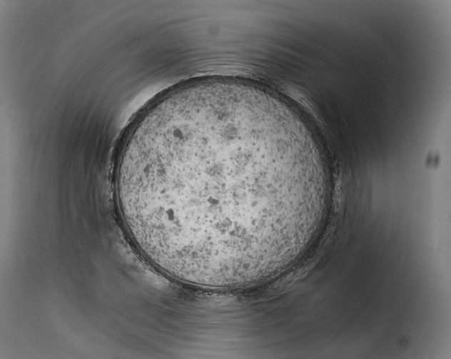 X0000115261071200911201700