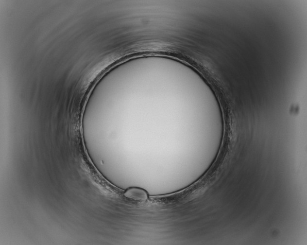X0000115261073200911201700