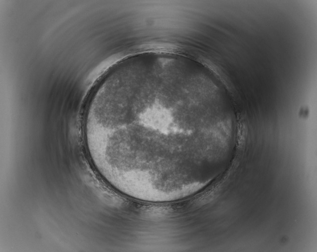 X0000115261074200911201700