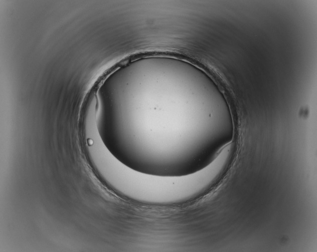 X0000115261077200911201700