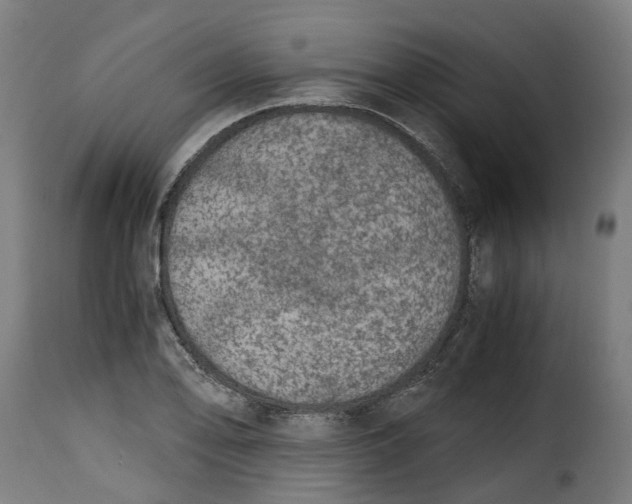 X0000115261078200911201700