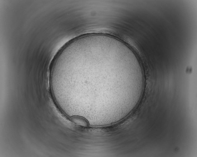 X0000115261079200911201700