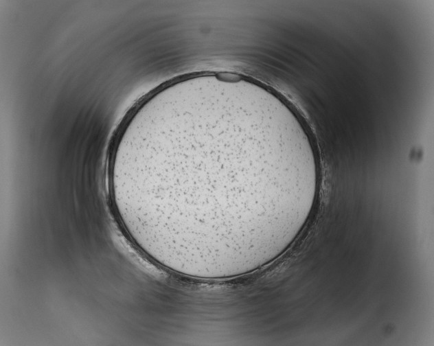 X0000115261080200911201700
