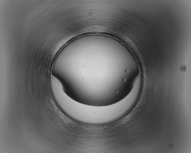 X0000115261081200911201700