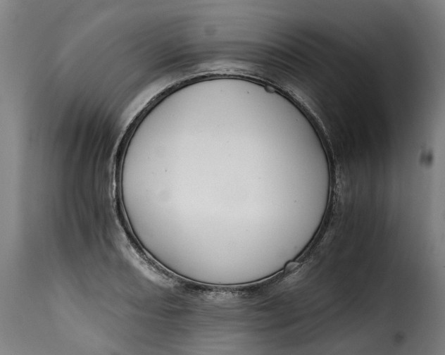 X0000115261082200911201700