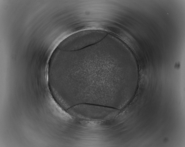 X0000115261084200911201700