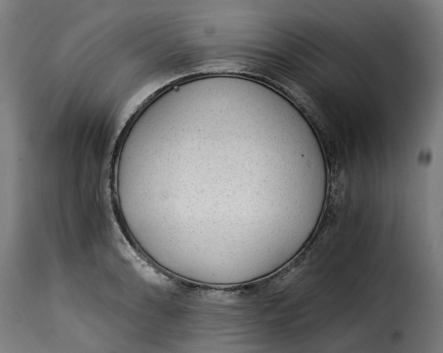 X0000115261086200911201700