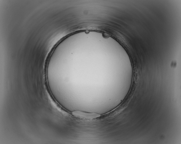 X0000115261087200911201700