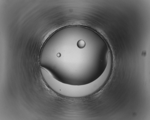 X0000115261089200911201700