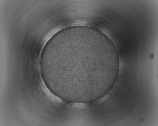 X0000115261090200911201700