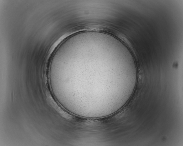 X0000115261091200911201700