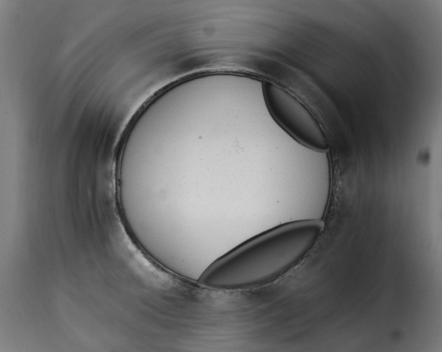 X0000115261092200911201700