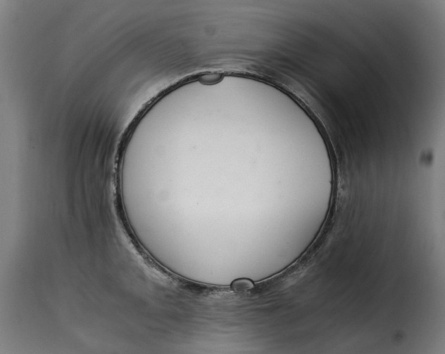X0000115261093200911201700