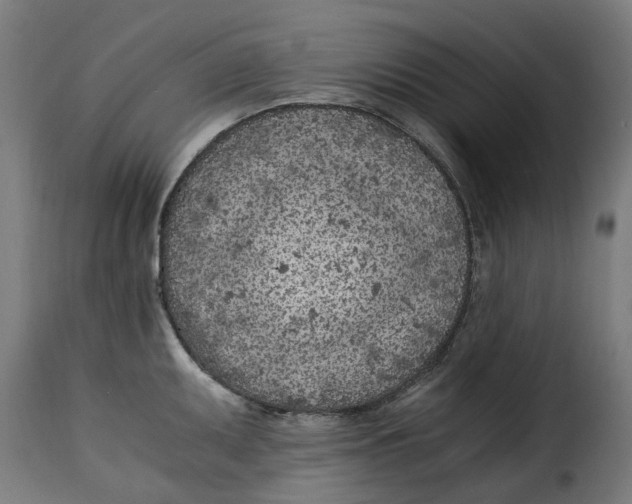 X0000115261095200911201700