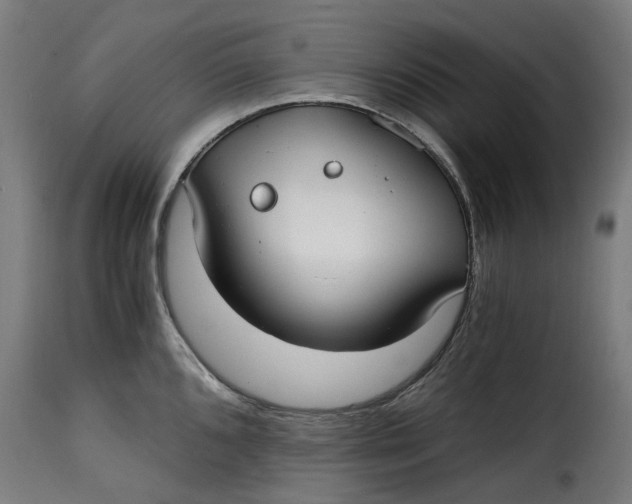 X0000115261096200911201700